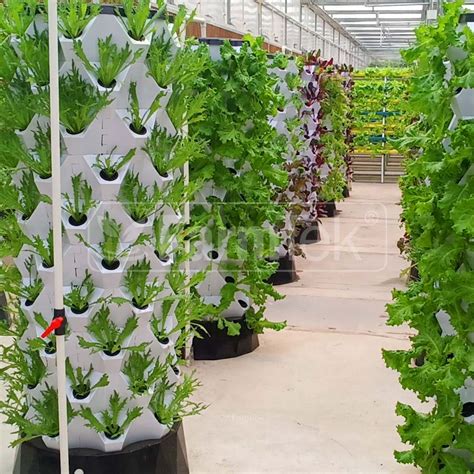 vertical hydroponic system