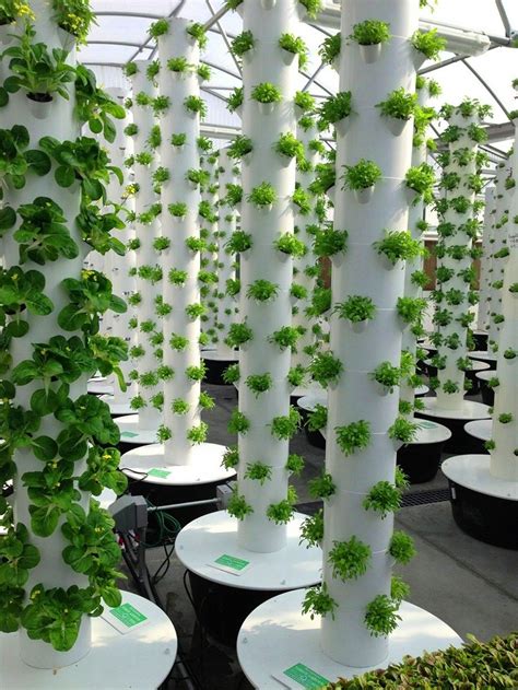 vertical hydroponics tower