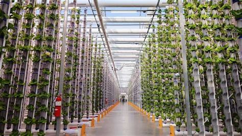 vertical net farming