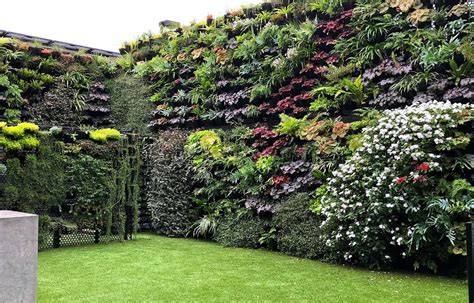vertical walls of plants