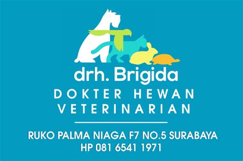 Vet & Pet Surabaya