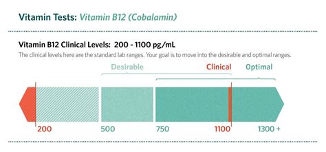 Vitamin B12 Levels Chart