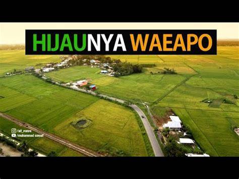 Waeapo