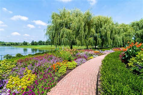 walk through garden