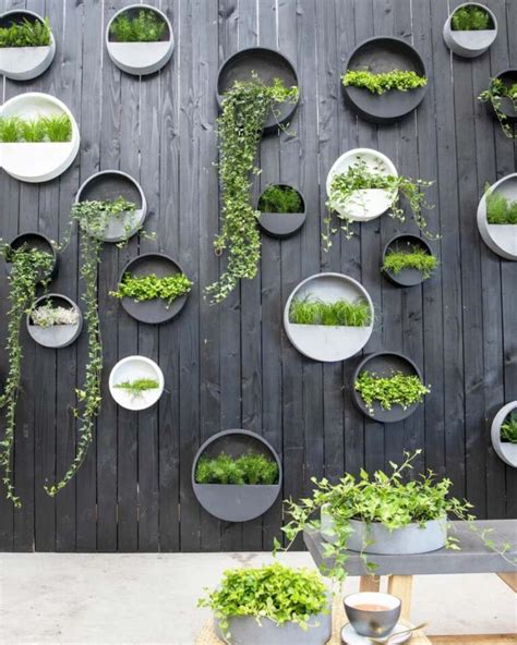 wall sconces for plants