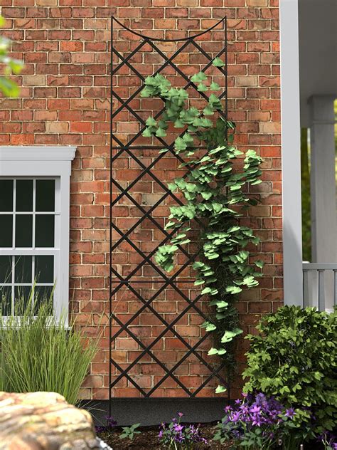 wall trellis for climbing plants