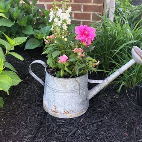 watering can flower pot