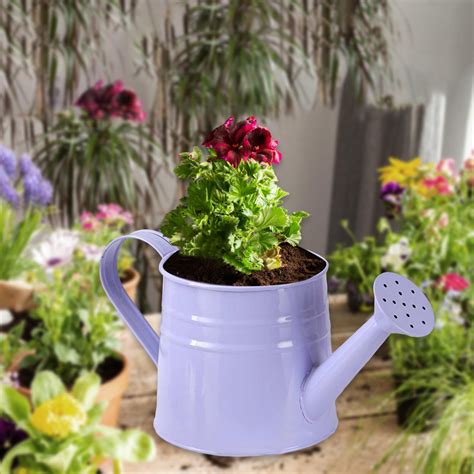 watering can planter