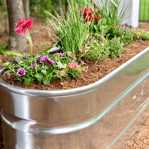 watering trough planter