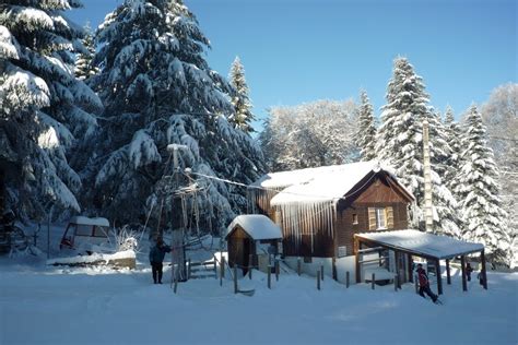 webcam la loge des gardes allier