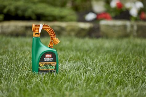 weed service for lawn
