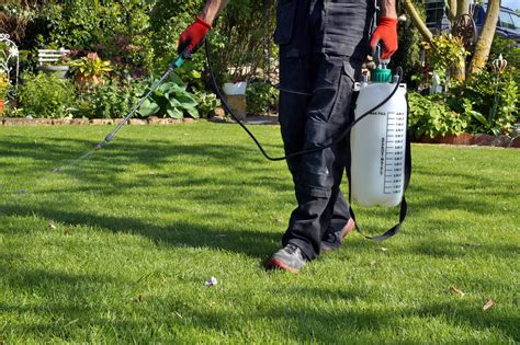 weed treatment for lawn