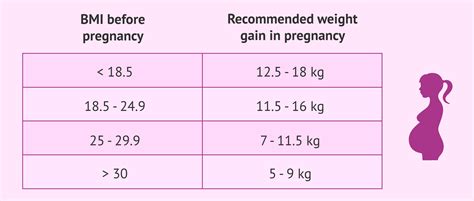 Weight Increase Chart During Pregnancy
