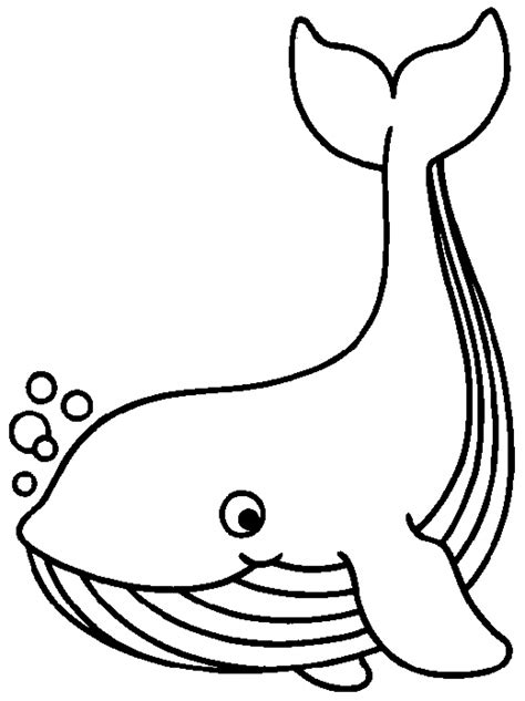 whale coloring pages pdf