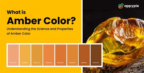 What Color Is Amber Coloring Wallpapers Download Free Images Wallpaper [coloring876.blogspot.com]