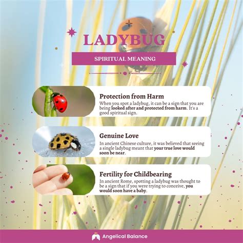 what does a yellow ladybug mean