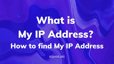 what is my ip internet access