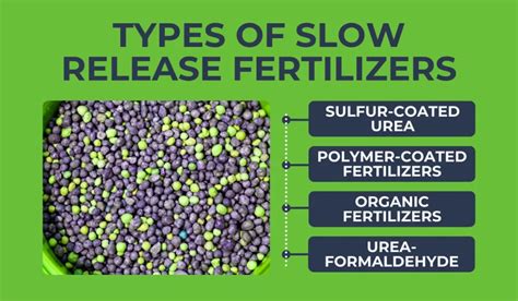 what is slow release fertilizer