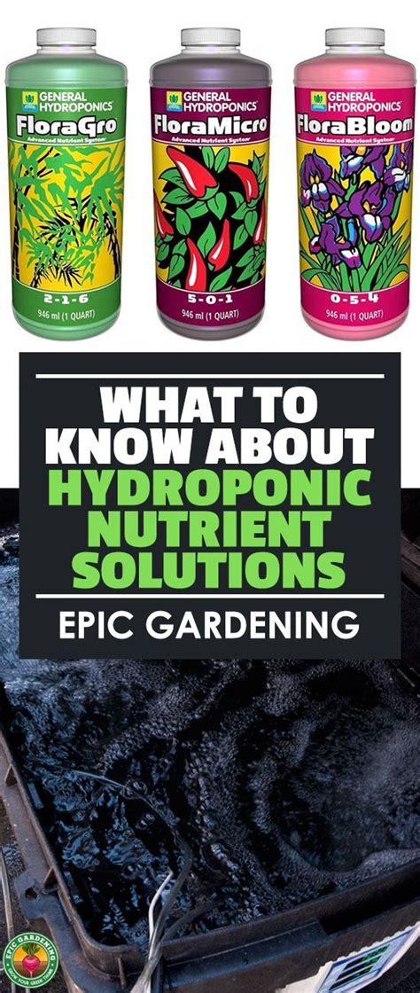 what you need to know about hydroponic nutrient solutions