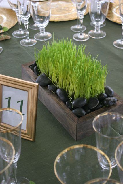 wheatgrass decor