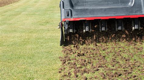 when to plug aerate a lawn