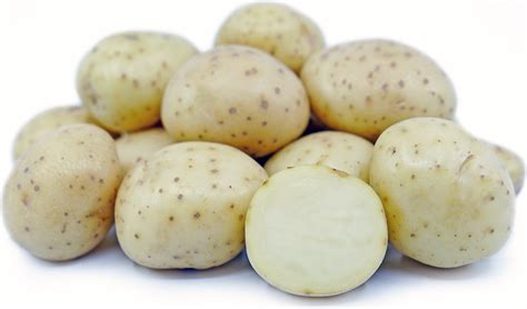white rose potatoes