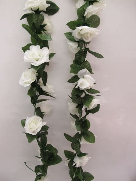 white rose vine