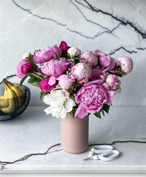 why are peonies so expensive