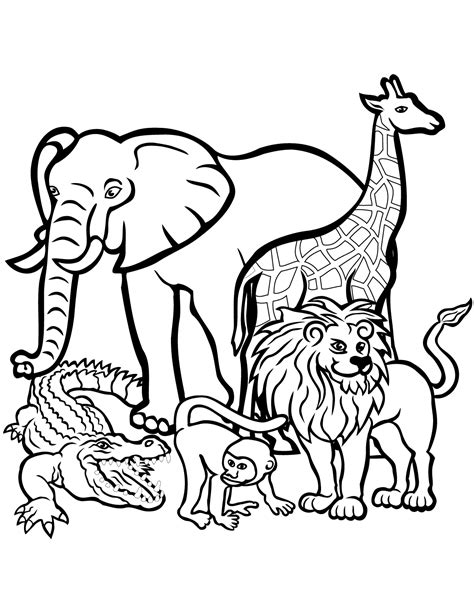 wild animals coloring sheets