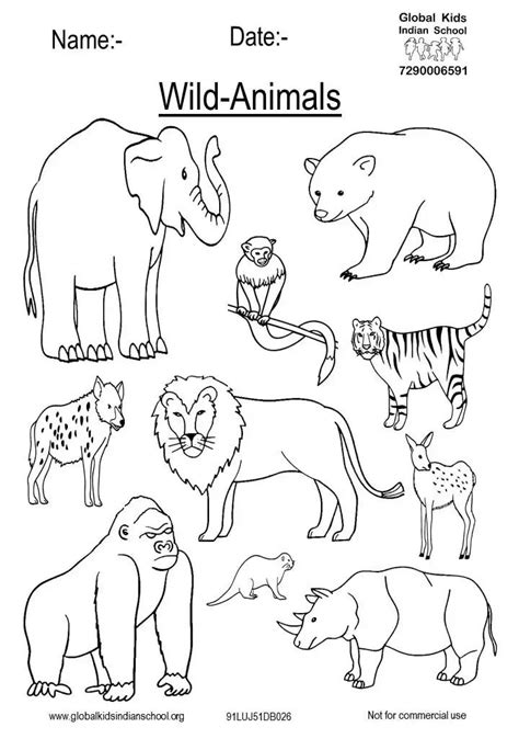 wild animals drawing for colouring