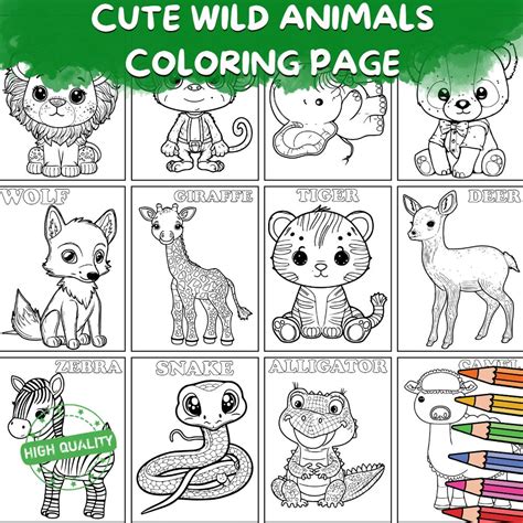 wild animals for colouring