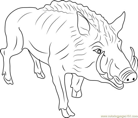 wild boar coloring page