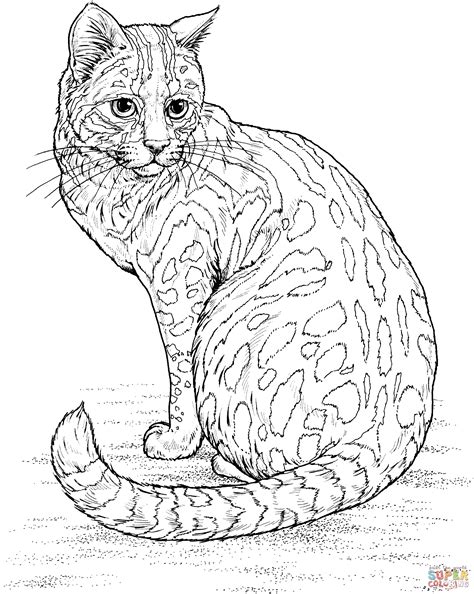 wild cats coloring pages