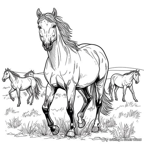 wild horses coloring pages