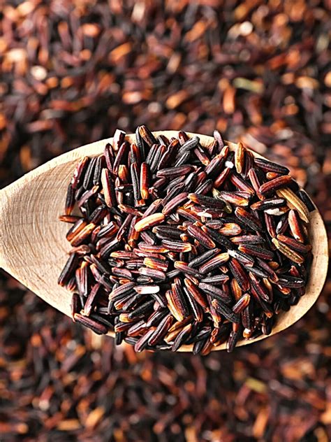 wild rice substitute