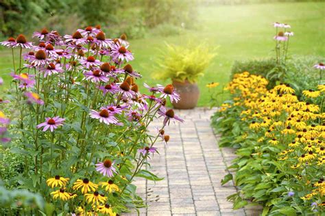 wildflower planting tips