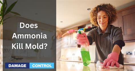 will ammonia kill mold