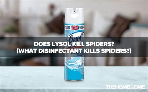 will lysol kill spiders