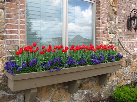 window planter box ideas