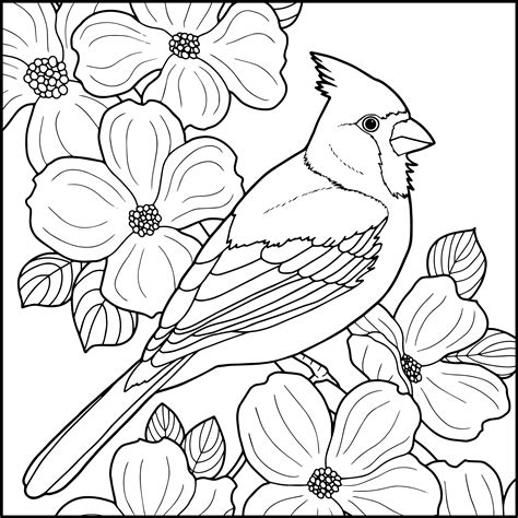 winter cardinal coloring pages