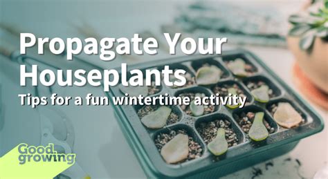 winter propagating information