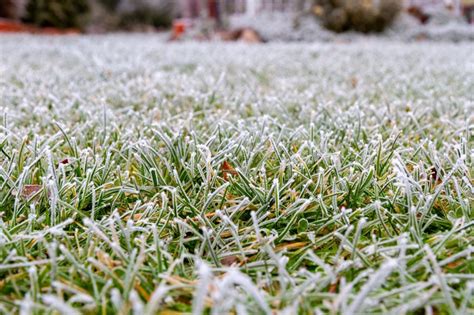 winterizing a lawn