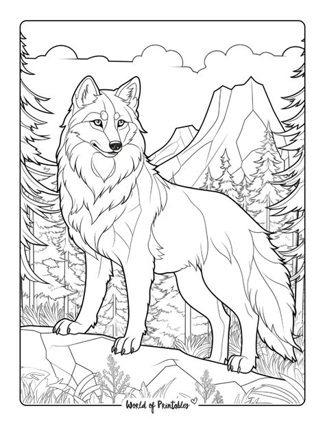 wolf coloring