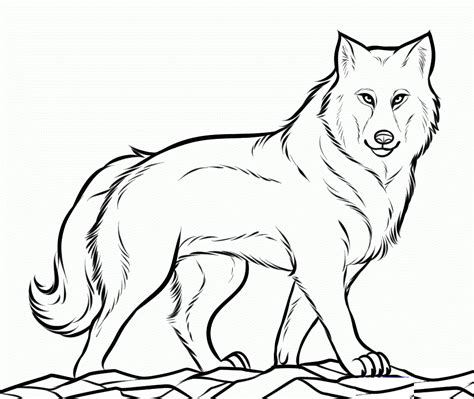 wolf coloring page free
