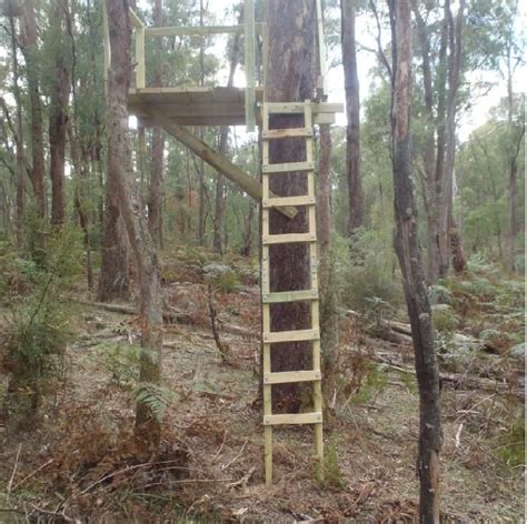 wood tree stands