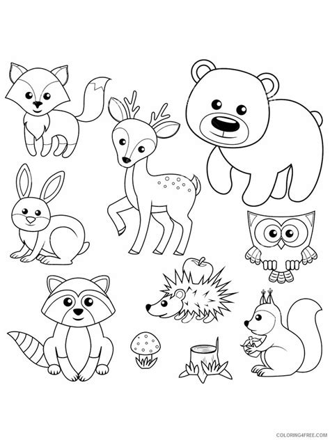 woodland animals coloring sheets