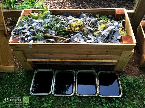 worm beds