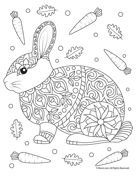 year of the rabbit coloring sheet