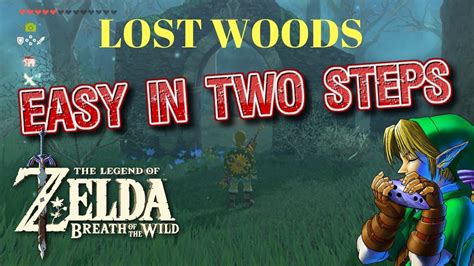 Zelda Lost Woods Walkthrough