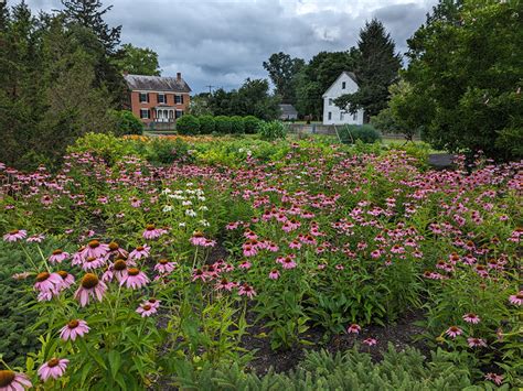 zoar gardens
